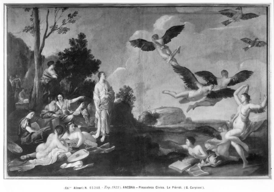 Le Pieridi - Ancona, Pinacoteca Civica